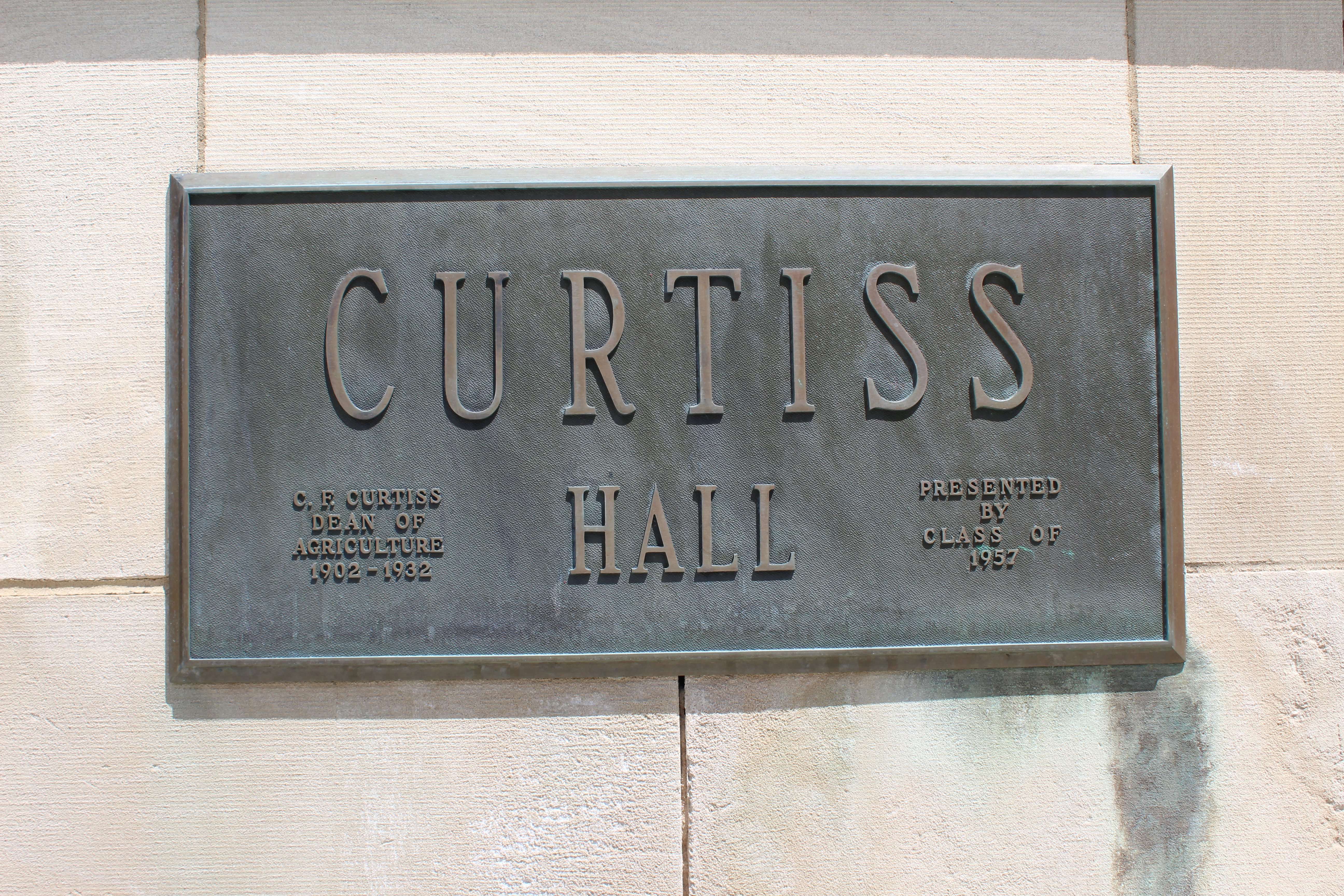 closeup photo